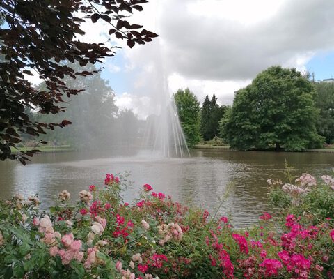 Vereinsausflug zum Rosengarten Zweibrücken und dem saarländischen Bergbaumuseum Bexbach am 13.07.2024