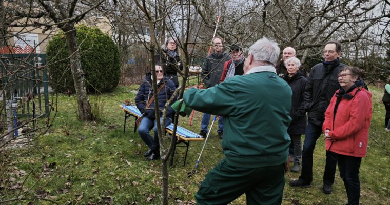 Schnittkurs am 07. März 2026
