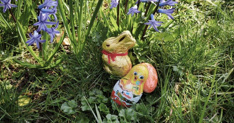 Zweite Osteraktion und ganz neu: erste Pflänzchen- und Saatgutbörse auf der Obstwiese