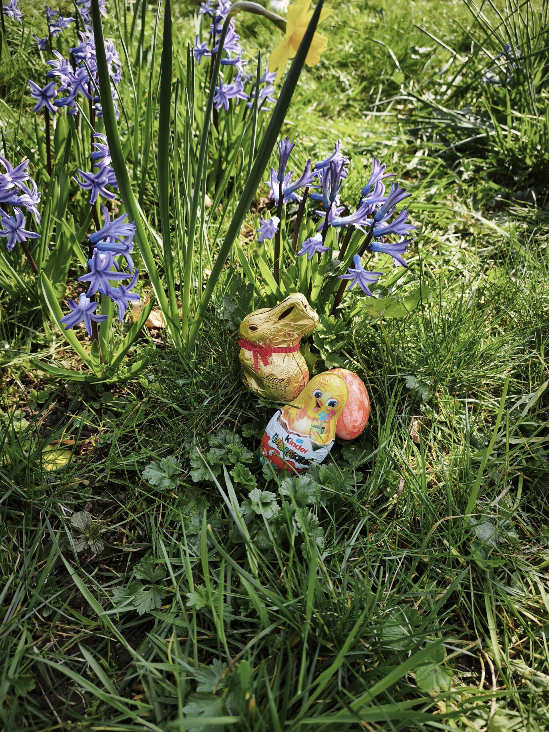 Zweite Osteraktion und ganz neu: erste Pflänzchen- und Saatgutbörse auf der Obstwiese